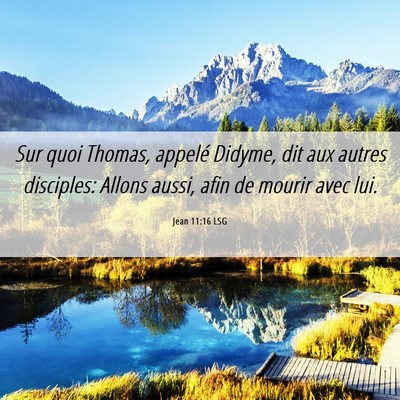 Picture 06 - Jean 11:16 LSG - Sur quoi Thomas, appelé Didyme, dit aux autres - Bible Verse Picture