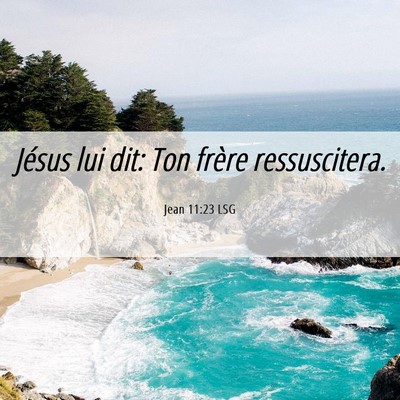 Picture 06 - Jean 11:23 LSG - Jésus lui dit: Ton frère - Bible Verse Picture