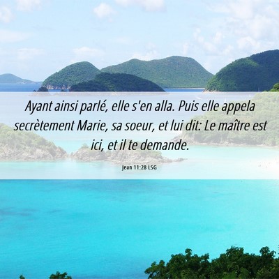 Picture 06 - Jean 11:28 LSG - Ayant ainsi parlé, elle s'en alla. Puis elle - Bible Verse Picture