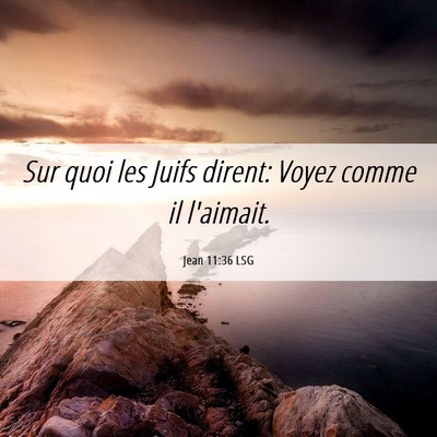 Picture 06 - Jean 11:36 LSG - Sur quoi les Juifs dirent: Voyez comme il - Bible Verse Picture