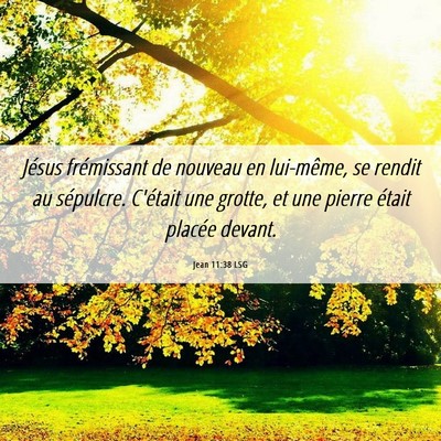 Picture 06 - Jean 11:38 LSG - Jésus frémissant de nouveau en lui-même, se - Bible Verse Picture