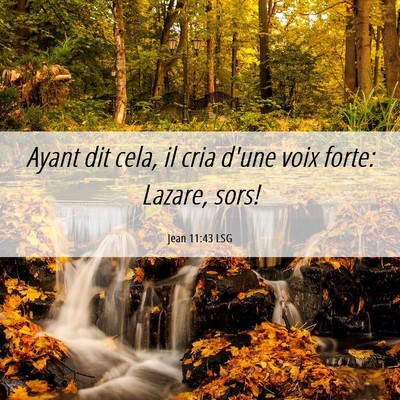 Picture 06 - Jean 11:43 LSG - Ayant dit cela, il cria d'une voix forte: Lazare, - Bible Verse Picture