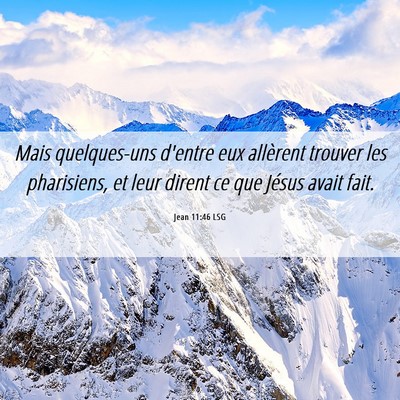 Picture 06 - Jean 11:46 LSG - Mais quelques-uns d'entre eux allèrent trouver - Bible Verse Picture