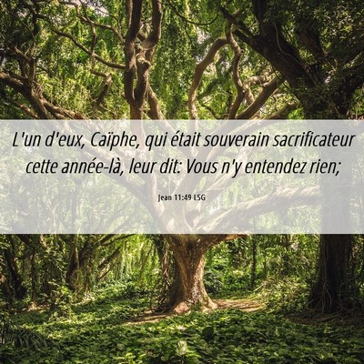 Picture 06 - Jean 11:49 LSG - L'un d'eux, Caïphe, qui était souverain - Bible Verse Picture