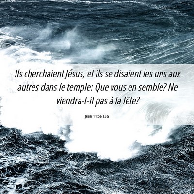Picture 06 - Jean 11:56 LSG - Ils cherchaient Jésus, et ils se disaient les - Bible Verse Picture