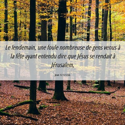 Picture 06 - Jean 12:12 LSG - Le lendemain, une foule nombreuse de gens venus - Bible Verse Picture
