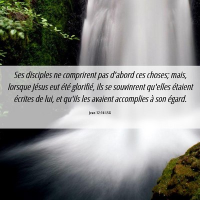 Picture 06 - Jean 12:16 LSG - Ses disciples ne comprirent pas d'abord ces - Bible Verse Picture