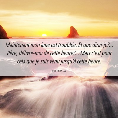 Picture 06 - Jean 12:27 LSG - Maintenant mon âme est troublée. Et que - Bible Verse Picture