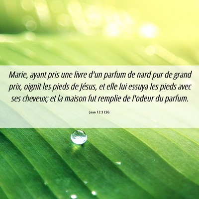 Picture 06 - Jean 12:3 LSG - Marie, ayant pris une livre d'un parfum de nard - Bible Verse Picture