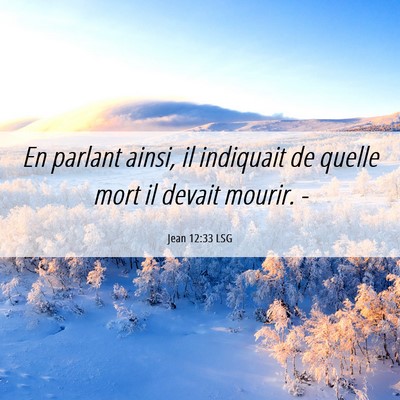 Picture 06 - Jean 12:33 LSG - En parlant ainsi, il indiquait de quelle mort il - Bible Verse Picture