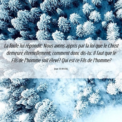 Picture 06 - Jean 12:34 LSG - La foule lui répondit: Nous avons appris par la - Bible Verse Picture
