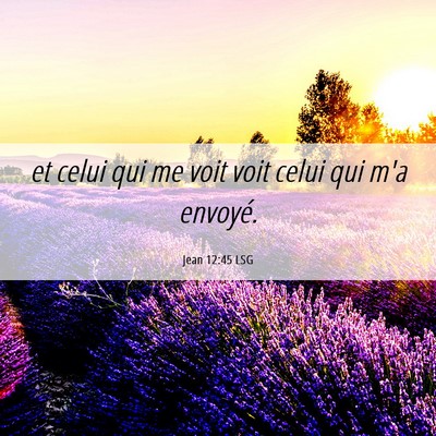 Picture 06 - Jean 12:45 LSG - et celui qui me voit voit celui qui m'a - Bible Verse Picture