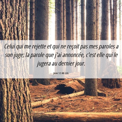 Picture 06 - Jean 12:48 LSG - Celui qui me rejette et qui ne reçoit pas mes - Bible Verse Picture