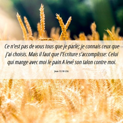 Picture 06 - Jean 13:18 LSG - Ce n'est pas de vous tous que je parle; je - Bible Verse Picture