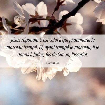 Picture 06 - Jean 13:26 LSG - Jésus répondit: C'est celui à qui je donnerai - Bible Verse Picture