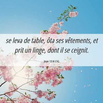 Picture 06 - Jean 13:4 LSG - se leva de table, ôta ses vêtements, et prit un - Bible Verse Picture