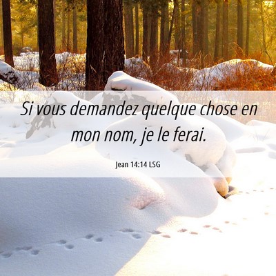 Picture 06 - Jean 14:14 LSG - Si vous demandez quelque chose en mon nom, je le - Bible Verse Picture