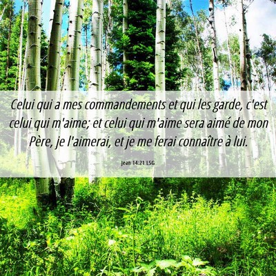 Picture 06 - Jean 14:21 LSG - Celui qui a mes commandements et qui les garde, - Bible Verse Picture