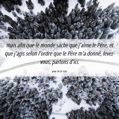 Picture 06 - Jean 14:31 LSG - mais afin que le monde sache que j'aime le Père, - Bible Verse Picture