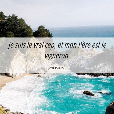 Picture 06 - Jean 15:1 LSG - Je suis le vrai cep, et mon Père est le - Bible Verse Picture