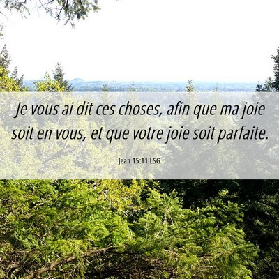 Picture 06 - Jean 15:11 LSG - Je vous ai dit ces choses, afin que ma joie soit - Bible Verse Picture