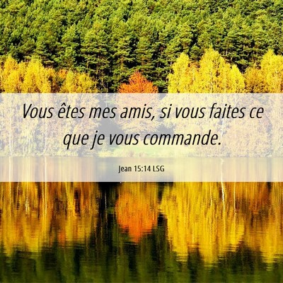 Picture 06 - Jean 15:14 LSG - Vous êtes mes amis, si vous faites ce que je - Bible Verse Picture