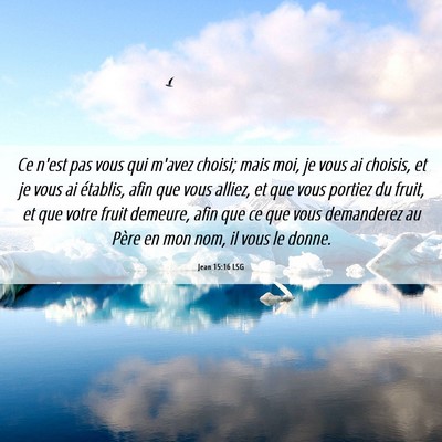 Picture 06 - Jean 15:16 LSG - Ce n'est pas vous qui m'avez choisi; mais moi, je - Bible Verse Picture
