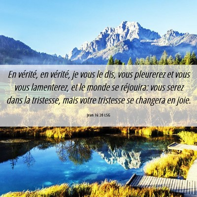 Picture 06 - Jean 16:20 LSG - En vérité, en vérité, je vous le dis, vous - Bible Verse Picture