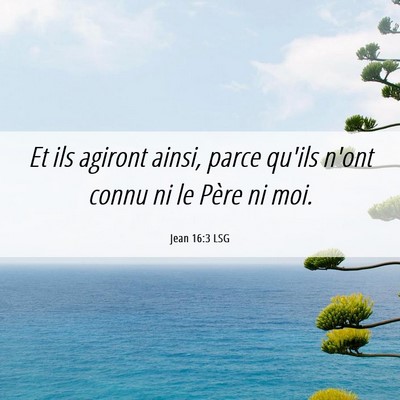 Picture 06 - Jean 16:3 LSG - Et ils agiront ainsi, parce qu'ils n'ont connu ni - Bible Verse Picture