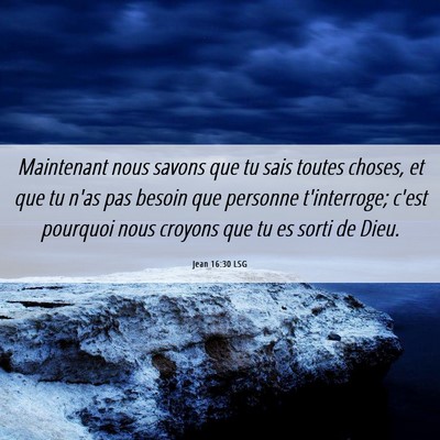 Picture 06 - Jean 16:30 LSG - Maintenant nous savons que tu sais toutes choses, - Bible Verse Picture
