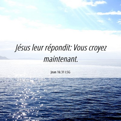 Picture 06 - Jean 16:31 LSG - Jésus leur répondit: Vous croyez - Bible Verse Picture