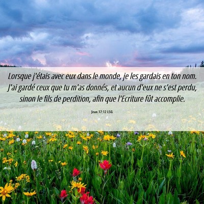 Picture 06 - Jean 17:12 LSG - Lorsque j'étais avec eux dans le monde, je les - Bible Verse Picture