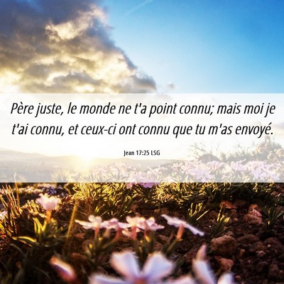 Picture 06 - Jean 17:25 LSG - Père juste, le monde ne t'a point connu; mais - Bible Verse Picture