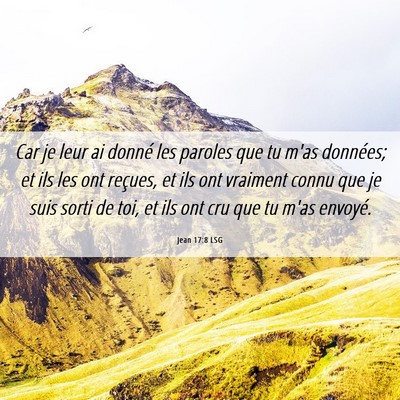 Picture 06 - Jean 17:8 LSG - Car je leur ai donné les paroles que tu m'as - Bible Verse Picture