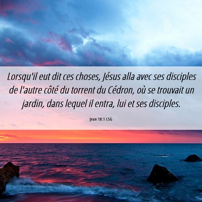 Picture 06 - Jean 18:1 LSG - Lorsqu'il eut dit ces choses, Jésus alla avec - Bible Verse Picture