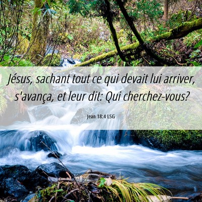 Picture 06 - Jean 18:4 LSG - Jésus, sachant tout ce qui devait lui arriver, - Bible Verse Picture