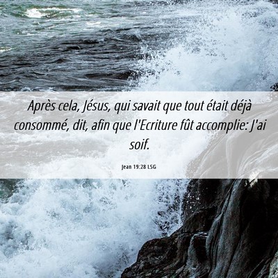 Picture 06 - Jean 19:28 LSG - Après cela, Jésus, qui savait que tout était - Bible Verse Picture