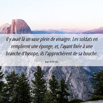 Picture 06 - Jean 19:29 LSG - Il y avait là un vase plein de vinaigre. Les - Bible Verse Picture