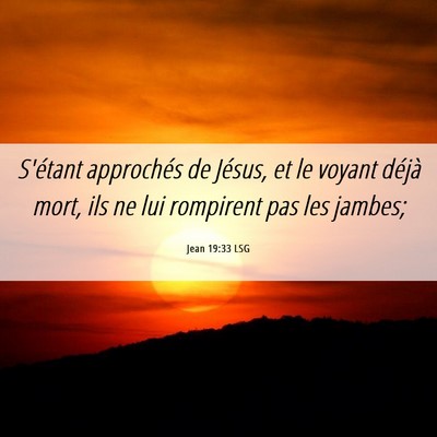 Picture 06 - Jean 19:33 LSG - S'étant approchés de Jésus, et le voyant - Bible Verse Picture