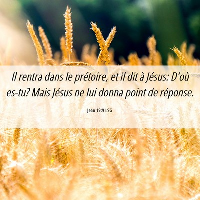 Picture 06 - Jean 19:9 LSG - Il rentra dans le prétoire, et il dit à Jésus: - Bible Verse Picture