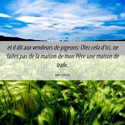 Picture 06 - Jean 2:16 LSG - et il dit aux vendeurs de pigeons: Otez cela - Bible Verse Picture