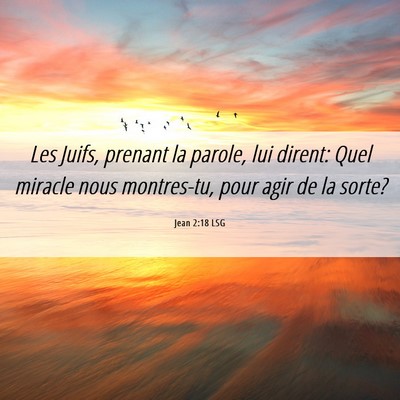 Picture 06 - Jean 2:18 LSG - Les Juifs, prenant la parole, lui dirent: Quel - Bible Verse Picture