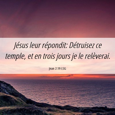Picture 06 - Jean 2:19 LSG - Jésus leur répondit: Détruisez ce temple, et - Bible Verse Picture