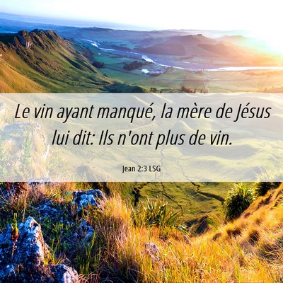 Picture 06 - Jean 2:3 LSG - Le vin ayant manqué, la mère de Jésus lui dit: - Bible Verse Picture