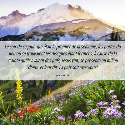Picture 06 - Jean 20:19 LSG - Le soir de ce jour, qui était le premier de la - Bible Verse Picture