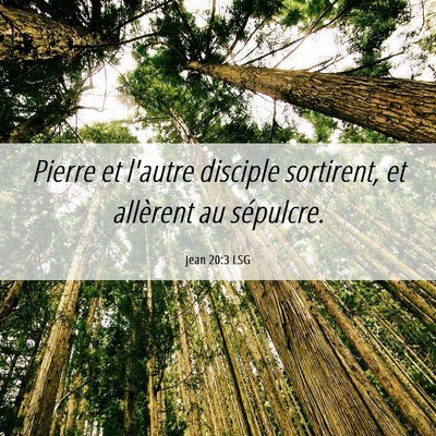 Picture 06 - Jean 20:3 LSG - Pierre et l'autre disciple sortirent, et - Bible Verse Picture