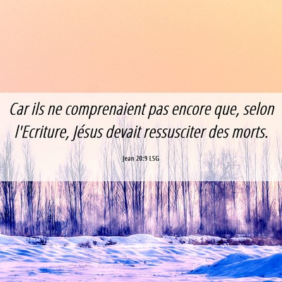 Picture 06 - Jean 20:9 LSG - Car ils ne comprenaient pas encore que, selon - Bible Verse Picture