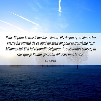 Picture 06 - Jean 21:17 LSG - Il lui dit pour la troisième fois: Simon, fils - Bible Verse Picture