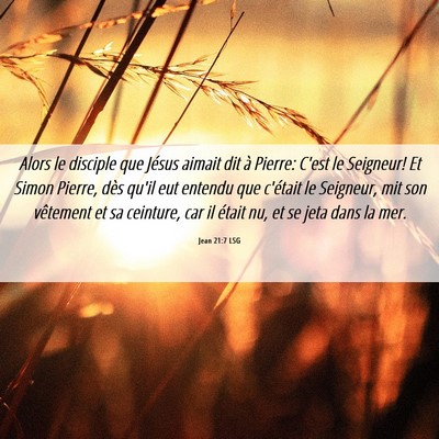 Picture 06 - Jean 21:7 LSG - Alors le disciple que Jésus aimait dit à - Bible Verse Picture
