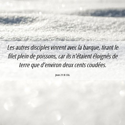 Picture 06 - Jean 21:8 LSG - Les autres disciples vinrent avec la barque, - Bible Verse Picture